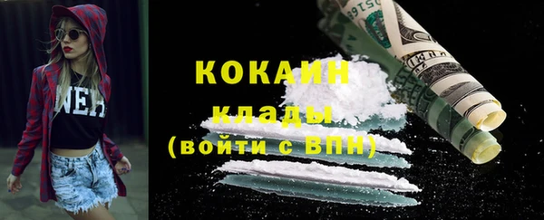 тгк Алзамай