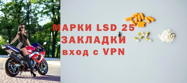 ПСИЛОЦИБИНОВЫЕ ГРИБЫ Арсеньев
