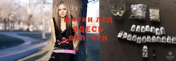 гидра Алексеевка