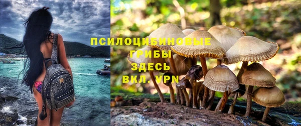 ПСИЛОЦИБИНОВЫЕ ГРИБЫ Арсеньев