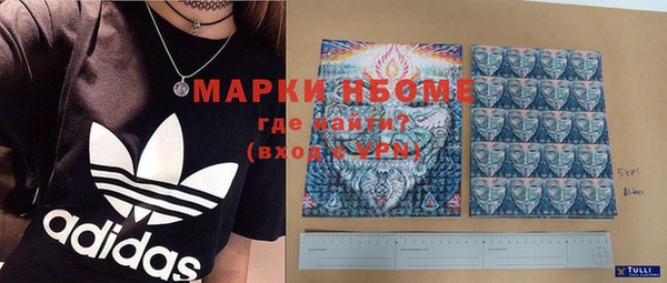 ПСИЛОЦИБИНОВЫЕ ГРИБЫ Арсеньев
