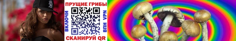 Псилоцибиновые грибы мухоморы  это состав  Покачи 
